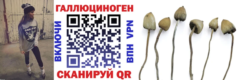 купить наркотики цена  Балтийск  OMG сайт  Псилоцибиновые грибы Magic Shrooms 