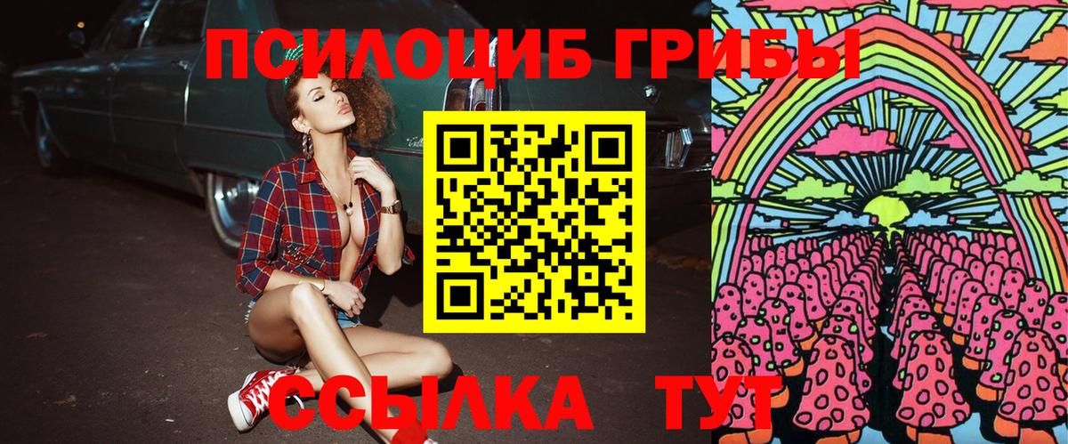 купить   Галлюциногенные грибы ЛСД  Балтийск  Вход с VPN  Галлюциногенные грибы мицелий 