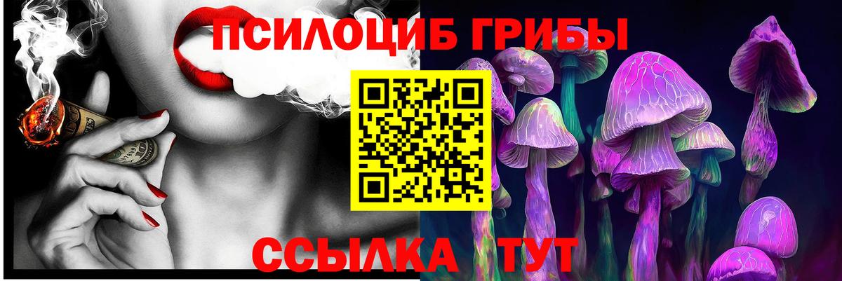 Галлюциногенные грибы Magic Shrooms Балтийск